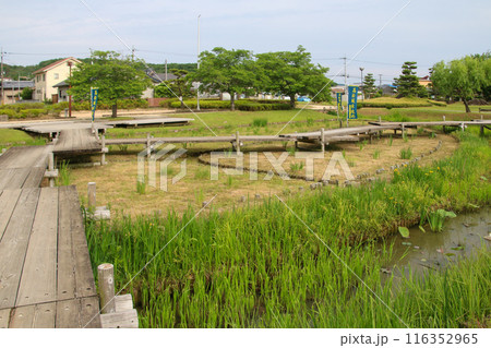 備中高松城跡 備中高松城跡 116352965