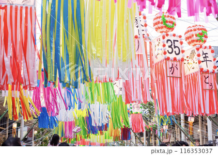 湘南ひらつか七夕まつり Shonan Hiratsuka Tanabata Festival 湘南ひらつか七夕まつり Shonan Hiratsuka Tanabata Festival 116353037