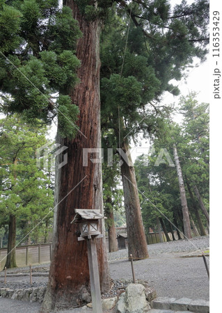 伊勢神宮外宮内宮 伊勢神宮外宮内宮 116353429