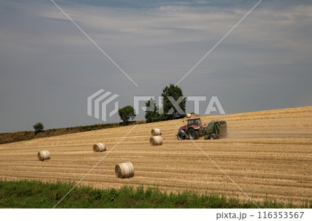牧草ロールの丘 牧草ロールの丘 116353567