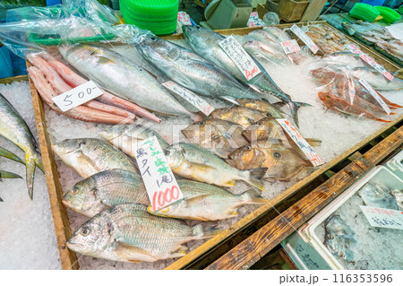 海鮮市場 黒タイ かんぱち マトウ鯛 マトウダイ 本マグロの子ども 海鮮市場 黒タイ かんぱち マトウ鯛 マトウダイ 本マグロの子ども 116353596