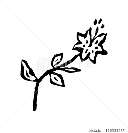 Inky abstract flower sketch isolated on white 116353955
