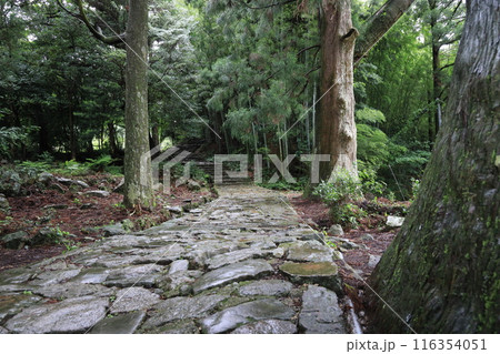 熊野古道大門坂 116354051
