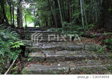 熊野古道大門坂 熊野古道大門坂 116354058