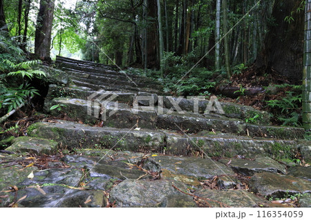 熊野古道大門坂 116354059