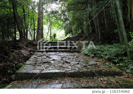 熊野古道大門坂 116354060