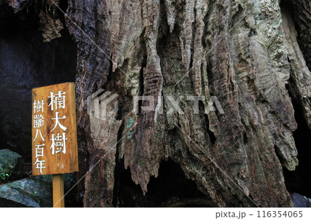 熊野古道大門坂 116354065