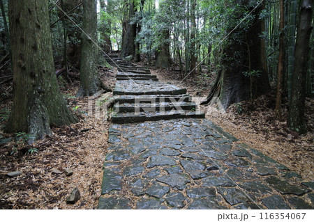 熊野古道大門坂 熊野古道大門坂 116354067