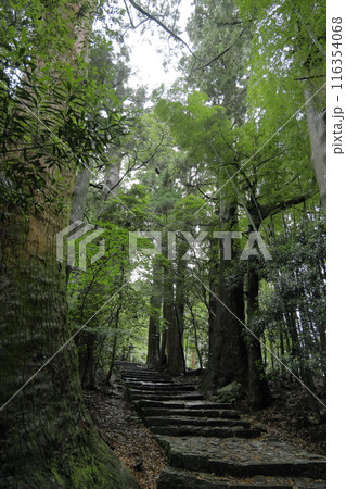 熊野古道大門坂 116354068