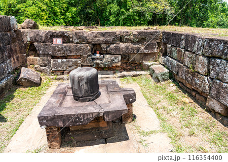 ベトナム　ヒンドゥーの神々を祀るチャンパ王国の聖地のミーソン遺跡 116354400