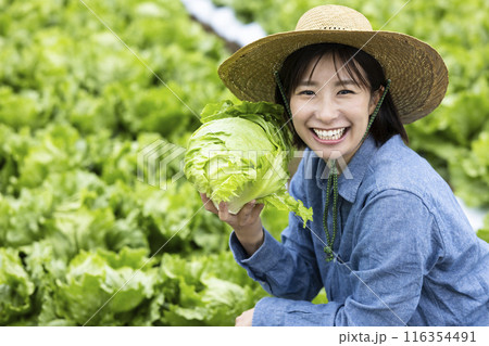 収穫した野菜を持つ女性 収穫した野菜を持つ女性 116354491