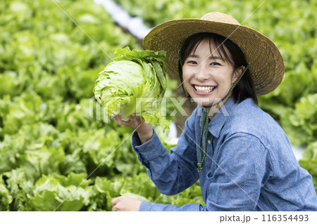 収穫した野菜を持つ女性 収穫した野菜を持つ女性 116354493