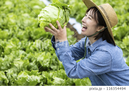 収穫した野菜を持つ女性 116354494
