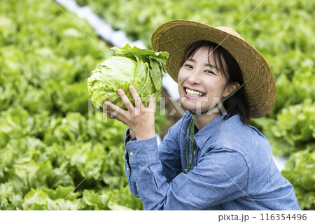 収穫した野菜を持つ女性 収穫した野菜を持つ女性 116354496