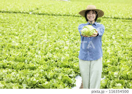 収穫した野菜を持つ女性 収穫した野菜を持つ女性 116354500