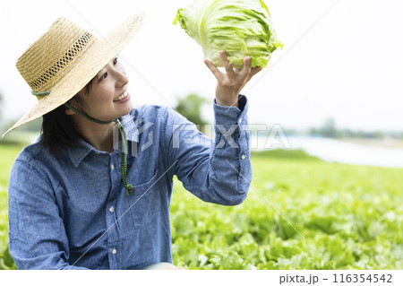 収穫した野菜を持つ女性 収穫した野菜を持つ女性 116354542