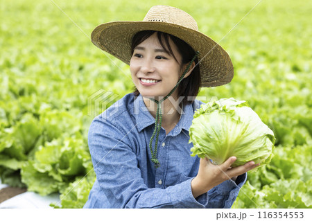 収穫した野菜を持つ女性 収穫した野菜を持つ女性 116354553
