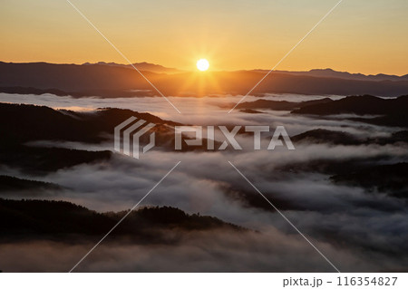 絶景雲海に感動 絶景雲海に感動 116354827