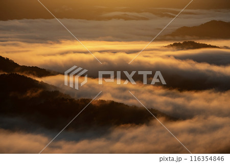 絶景雲海に感動 絶景雲海に感動 116354846