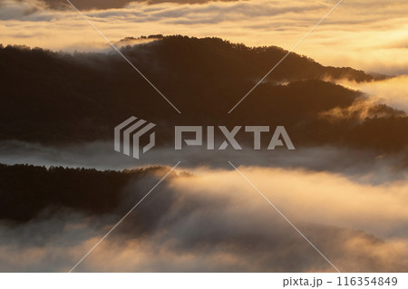 絶景雲海に感動 116354849