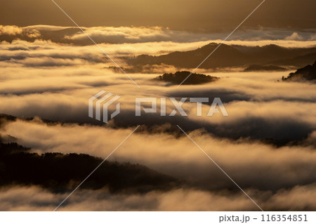 絶景雲海に感動 116354851