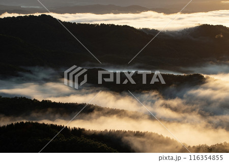 絶景雲海に感動 116354855