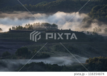 絶景雲海に感動 116354874