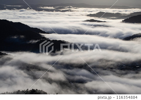 絶景雲海に感動 116354884