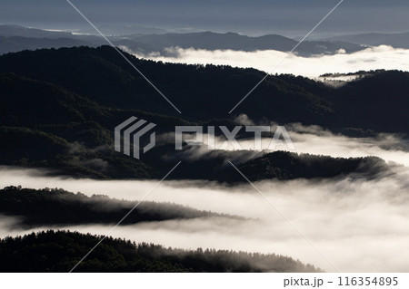 絶景雲海に感動 絶景雲海に感動 116354895