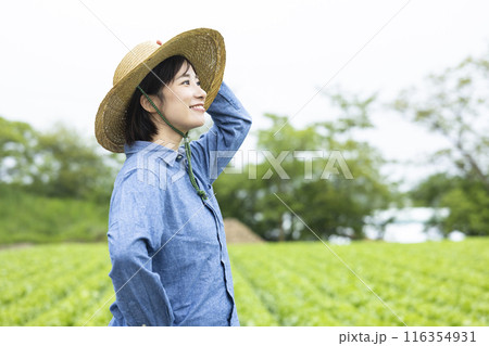 麦わら帽子を被った農家の女性 麦わら帽子を被った農家の女性 116354931