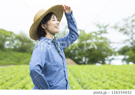 麦わら帽子を被った農家の女性 116354932