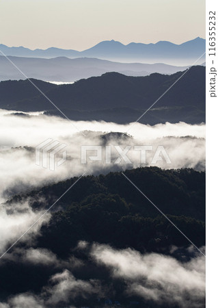 絶景雲海に感動 116355232