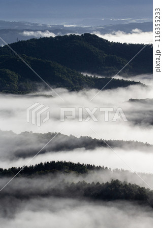 絶景雲海に感動 116355233