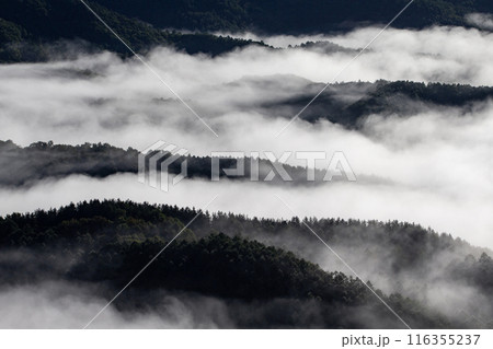 絶景雲海に感動 絶景雲海に感動 116355237
