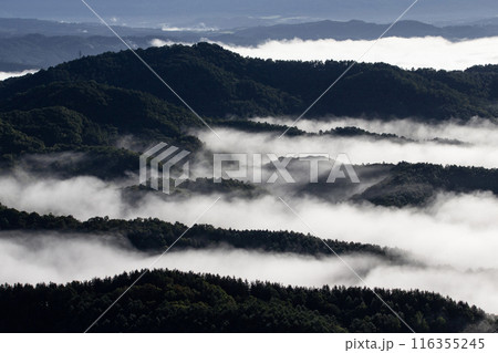 絶景雲海に感動 116355245