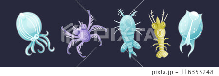 Plankton Diverse Water Organism Free Floating on Dark Background Vector Set 116355248