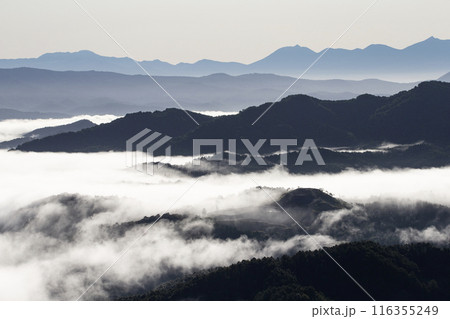絶景雲海に感動 絶景雲海に感動 116355249