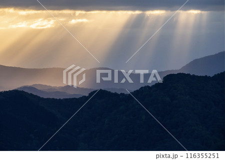 絶景雲海に感動 絶景雲海に感動 116355251