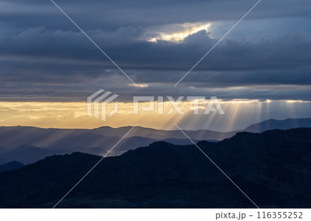 絶景雲海に感動 116355252