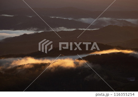 絶景雲海に感動 116355254