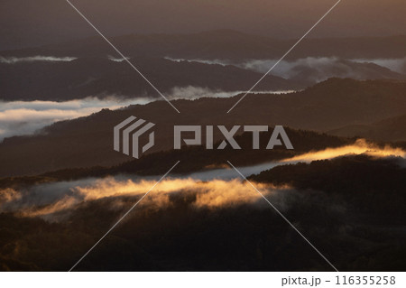 絶景雲海に感動 絶景雲海に感動 116355258