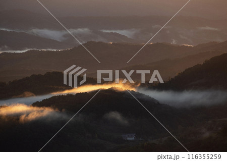 絶景雲海に感動 絶景雲海に感動 116355259