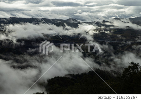 絶景雲海に感動 116355267