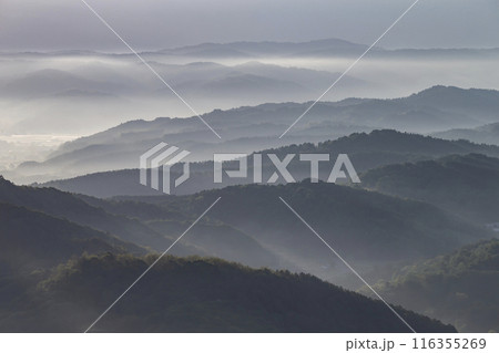 絶景雲海に感動 絶景雲海に感動 116355269