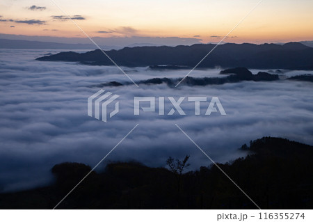 絶景雲海に感動 絶景雲海に感動 116355274
