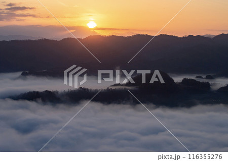 絶景雲海に感動 116355276