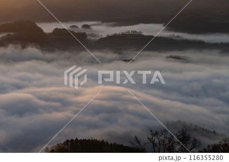 絶景雲海に感動 絶景雲海に感動 116355280