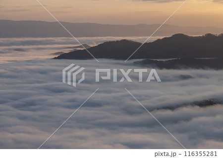 絶景雲海に感動 絶景雲海に感動 116355281