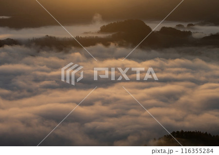 絶景雲海に感動 116355284