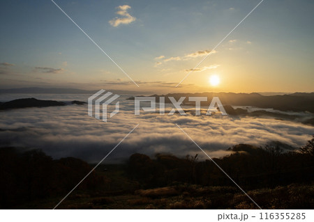 絶景雲海に感動 116355285